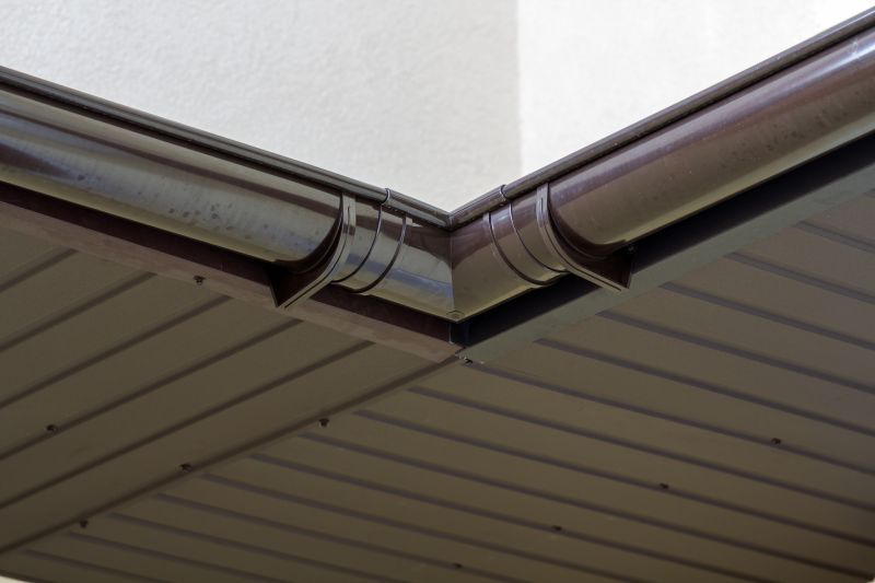 Roof Gutter Repair detail